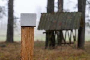 nyalósó vadaknak